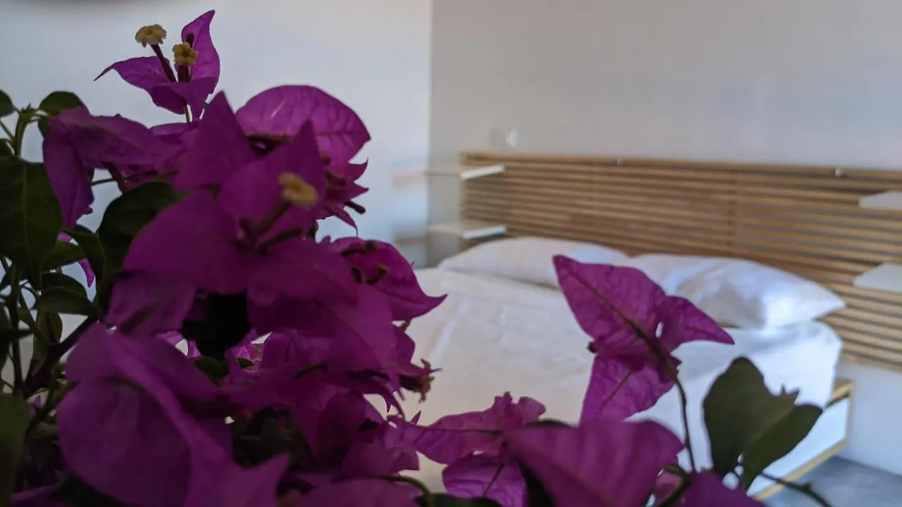 Frühstückspension Bed and Breakfast Horizon Pantelleria Campobello
