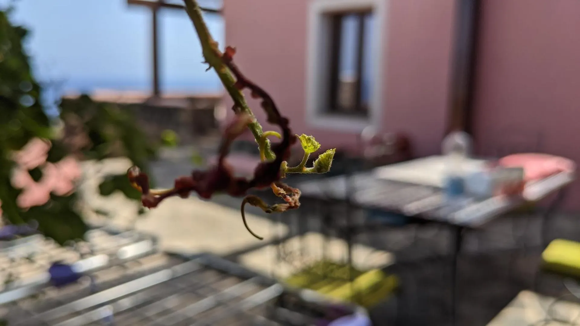 Horizon Pantelleria Bed & Breakfast Campobello Italy